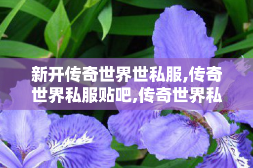 新开传奇世界世私服,传奇世界私服贴吧,传奇世界私服,传世私服网,传奇世界私服贴吧