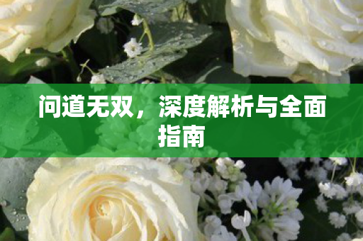 问道无双，深度解析与全面指南