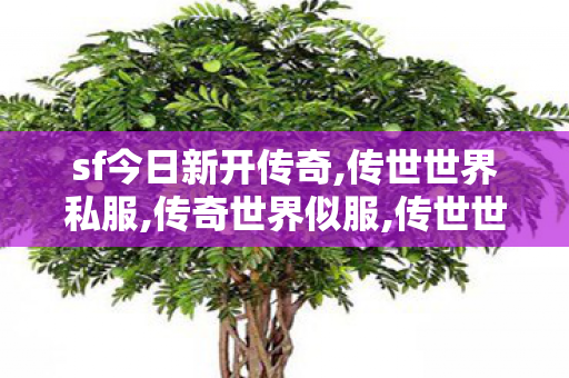 sf今日新开传奇,传世世界私服,传奇世界似服,传世世界私服
