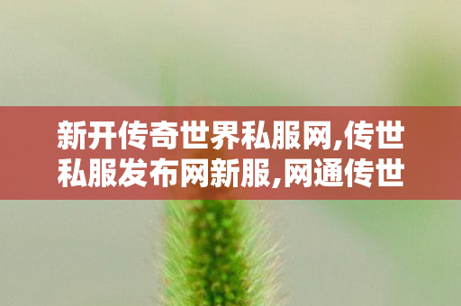 新开传奇世界私服网,传世私服发布网新服,网通传世私服,传世私服发布网新服