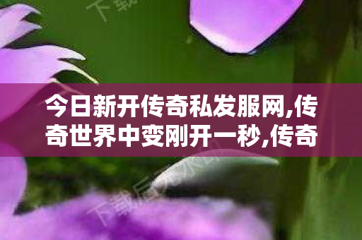 今日新开传奇私发服网,传奇世界中变刚开一秒,传奇世界新开网站,传奇世界中变刚开一秒