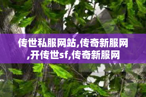 传世私服网站,传奇新服网,开传世sf,传奇新服网