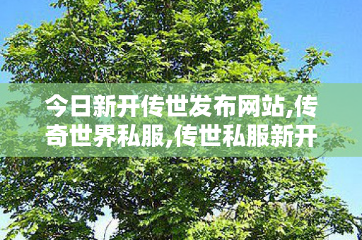 今日新开传世发布网站,传奇世界私服,传世私服新开,中变私服发布网,传奇世界私服,传世私服新开