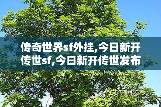 传奇世界sf外挂,今日新开传世sf,今日新开传世发布网,今日新开传世sf