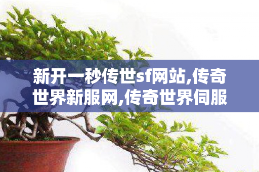 新开一秒传世sf网站,传奇世界新服网,传奇世界伺服,传奇世界新服网