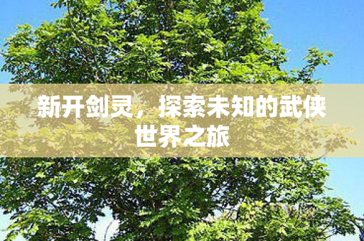 新开剑灵，探索未知的武侠世界之旅