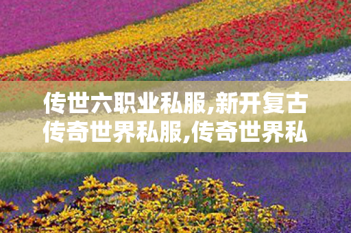 传世六职业私服,新开复古传奇世界私服,传奇世界私服,最新传世私服,新开复古传奇世界私服