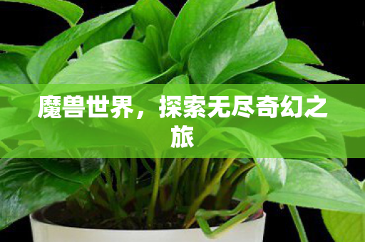 魔兽世界，探索无尽奇幻之旅