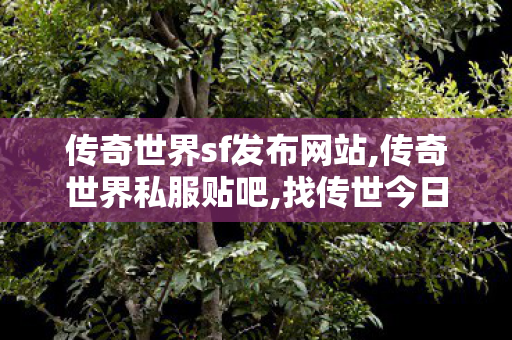 传奇世界sf发布网站,传奇世界私服贴吧,找传世今日新开,传奇世界私服贴吧