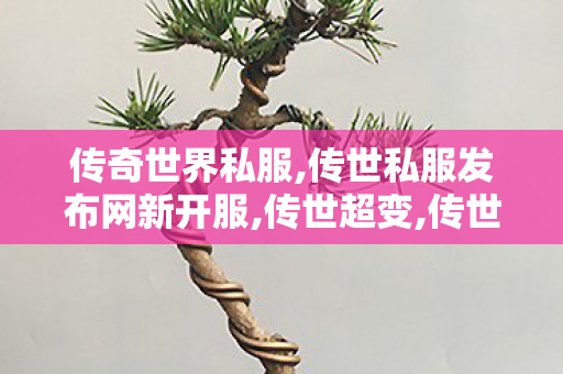 传奇世界私服,传世私服发布网新开服,传世超变,传世私服发布网新开服