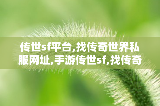 传世sf平台,找传奇世界私服网址,手游传世sf,找传奇世界私服网址