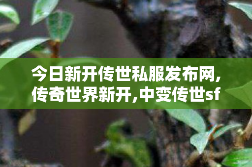 今日新开传世私服发布网,传奇世界新开,中变传世sf,传奇世界新开