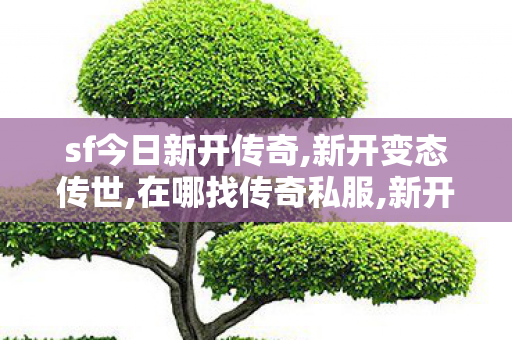 sf今日新开传奇,新开变态传世,在哪找传奇私服,新开变态传世