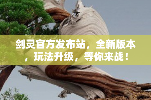 剑灵官方发布站，全新版本，玩法升级，等你来战！
