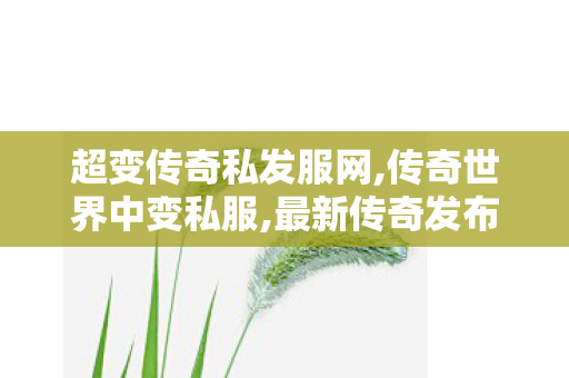 超变传奇私发服网,传奇世界中变私服,最新传奇发布网站,传奇世界中变私服