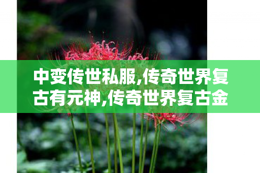 中变传世私服,传奇世界复古有元神,传奇世界复古金币版,传奇世界复古有元神