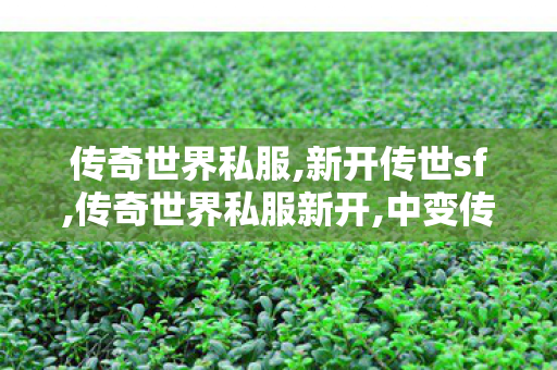 传奇世界私服,新开传世sf,传奇世界私服新开,中变传世私发服网,传奇世界私服新开