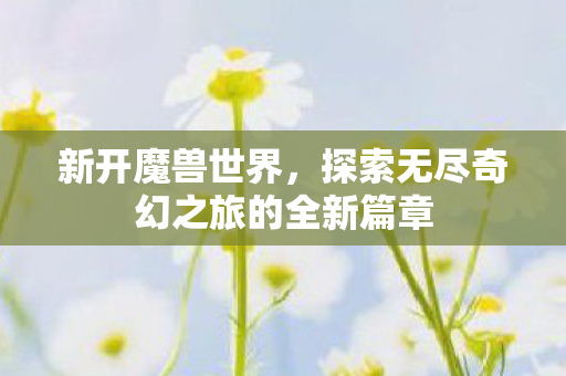 新开魔兽世界，探索无尽奇幻之旅的全新篇章