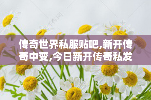 传奇世界私服贴吧,新开传奇中变,今日新开传奇私发服网,新开传奇中变