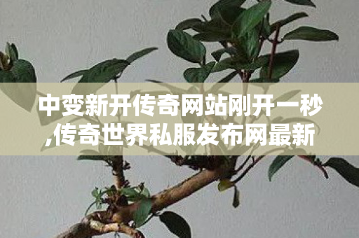 中变新开传奇网站刚开一秒,传奇世界私服发布网最新,传世私服版本库,传奇世界私服发布网最新
