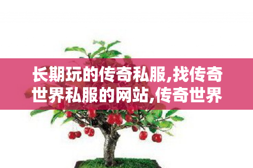 长期玩的传奇私服,找传奇世界私服的网站,传奇世界私服开服,找传奇世界私服的网站