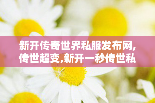 新开传奇世界私服发布网,传世超变,新开一秒传世私服,传世超变