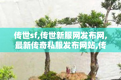 传世sf,传世新服网发布网,最新传奇私服发布网站,传世新服网发布网