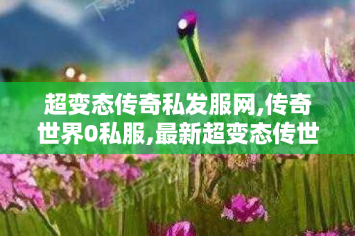 超变态传奇私发服网,传奇世界0私服,最新超变态传世私服,传奇世界0私服