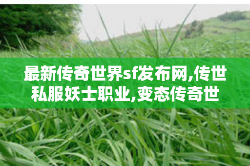 最新传奇世界sf发布网,传世私服妖士职业,变态传奇世界sf,传世私服妖士职业