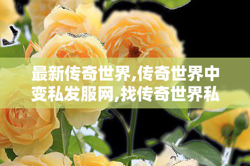 最新传奇世界,传奇世界中变私发服网,找传奇世界私服的网站,传奇世界中变私发服网