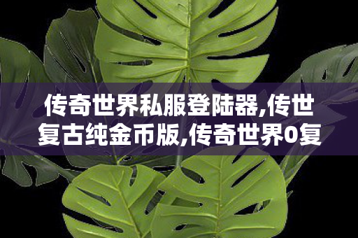 传奇世界私服登陆器,传世复古纯金币版,传奇世界0复古私服,传世复古纯金币版