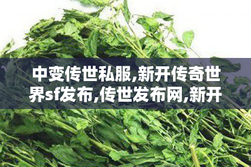 中变传世私服,新开传奇世界sf发布,传世发布网,新开传奇世界sf发布