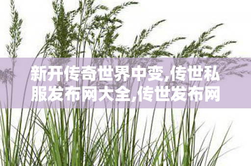新开传奇世界中变,传世私服发布网大全,传世发布网,传世私服发布网大全