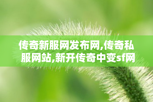 传奇新服网发布网,传奇私 服网站,新开传奇中变sf网站,传奇私 服网站
