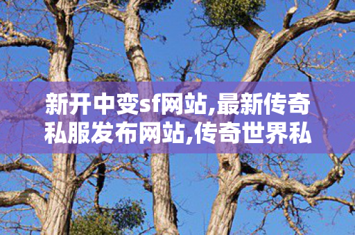 新开中变sf网站,最新传奇私服发布网站,传奇世界私服发布站,最新传奇私服发布网站