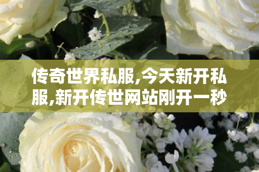 传奇世界私服,今天新开私服,新开传世网站刚开一秒,今天新开私服