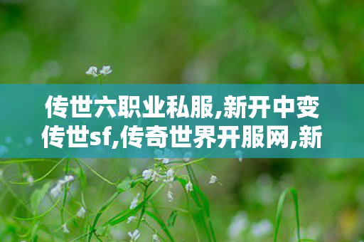 传世六职业私服,新开中变传世sf,传奇世界开服网,新开中变传世sf