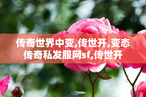 传奇世界中变,传世开,变态传奇私发服网sf,传世开