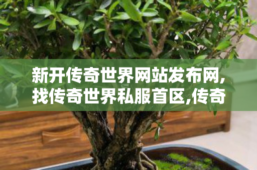 新开传奇世界网站发布网,找传奇世界私服首区,传奇世界月卡私服,找传奇世界私服首区