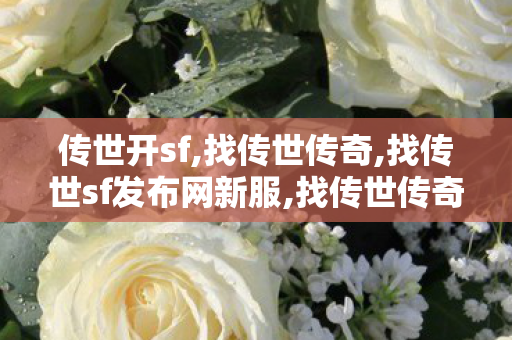 传世开sf,找传世传奇,找传世sf发布网新服,找传世传奇