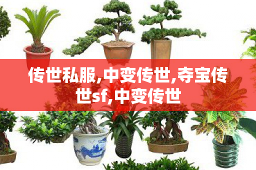 传世私服,中变传世,夺宝传世sf,中变传世