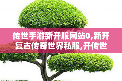 传世手游新开服网站0,新开复古传奇世界私服,开传世sf,新开复古传奇世界私服