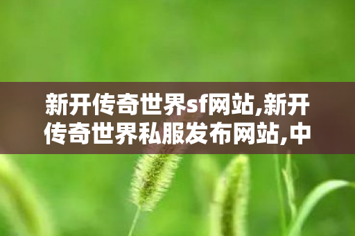 新开传奇世界sf网站,新开传奇世界私服发布网站,中变私服发布网,新开传奇世界私服发布网站