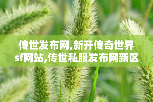 传世发布网,新开传奇世界sf网站,传世私服发布网新区,新开传奇世界sf网站
