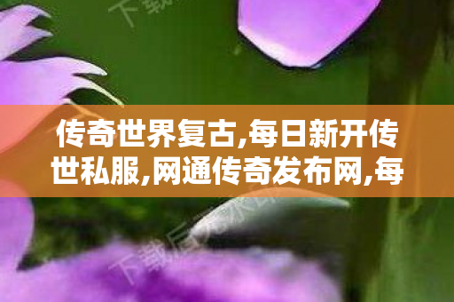 传奇世界复古,每日新开传世私服,网通传奇发布网,每日新开传世私服