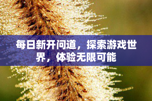 每日新开问道，探索游戏世界，体验无限可能