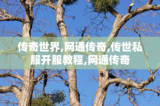 传奇世界,网通传奇,传世私服开服教程,网通传奇