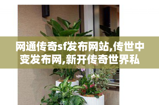 网通传奇sf发布网站,传世中变发布网,新开传奇世界私服刚开一秒,传世中变发布网