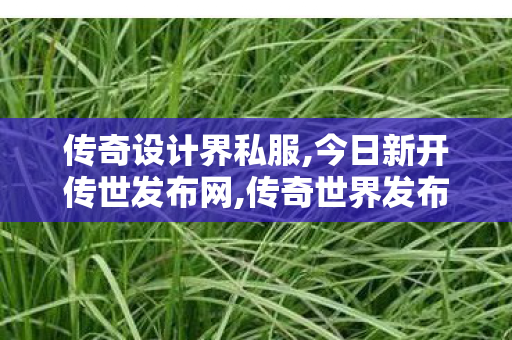 传奇设计界私服,今日新开传世发布网,传奇世界发布网新服,今日新开传世发布网