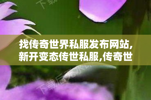 找传奇世界私服发布网站,新开变态传世私服,传奇世界新开网站,新开变态传世私服